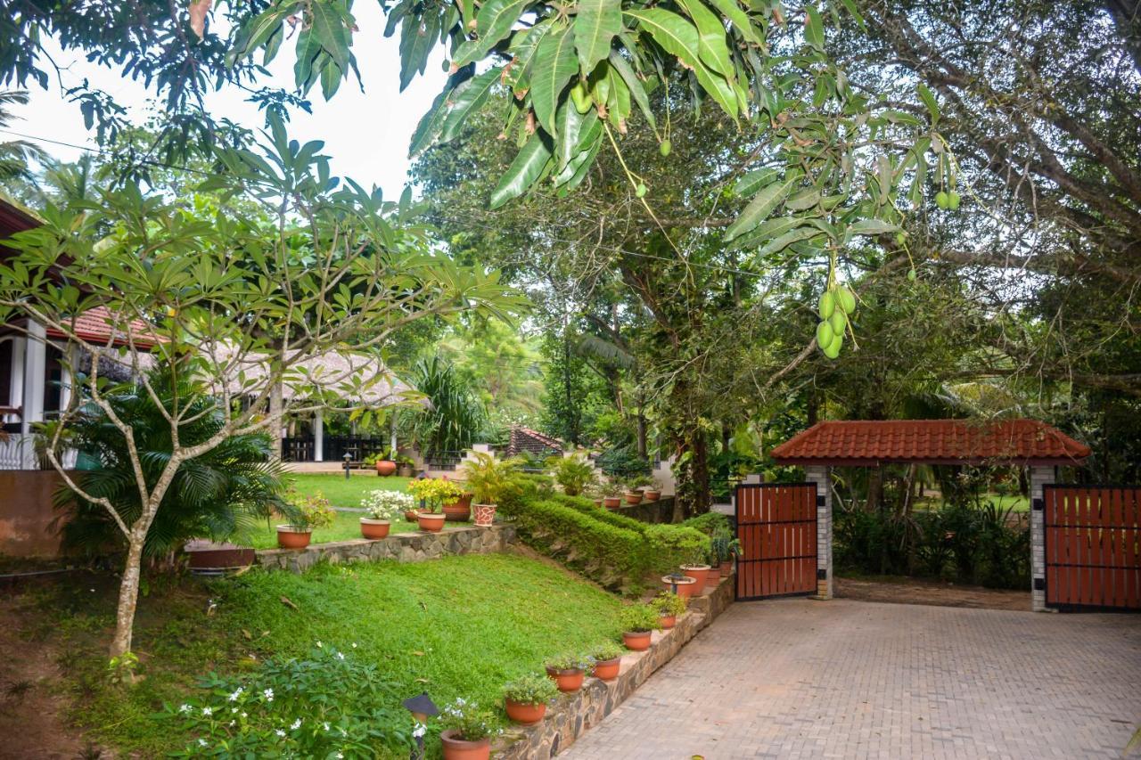 טנגלה Goyambokka Guesthouse מראה חיצוני תמונה