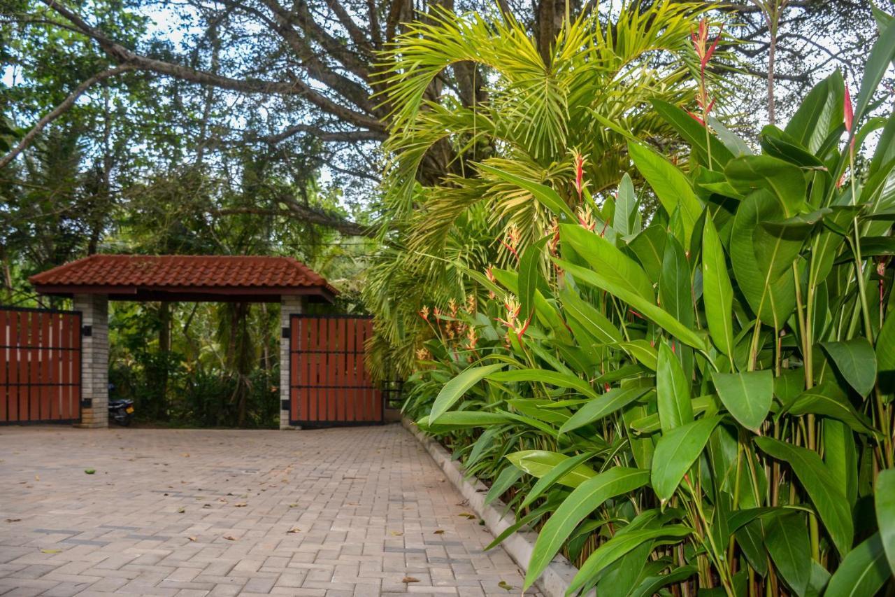 טנגלה Goyambokka Guesthouse מראה חיצוני תמונה