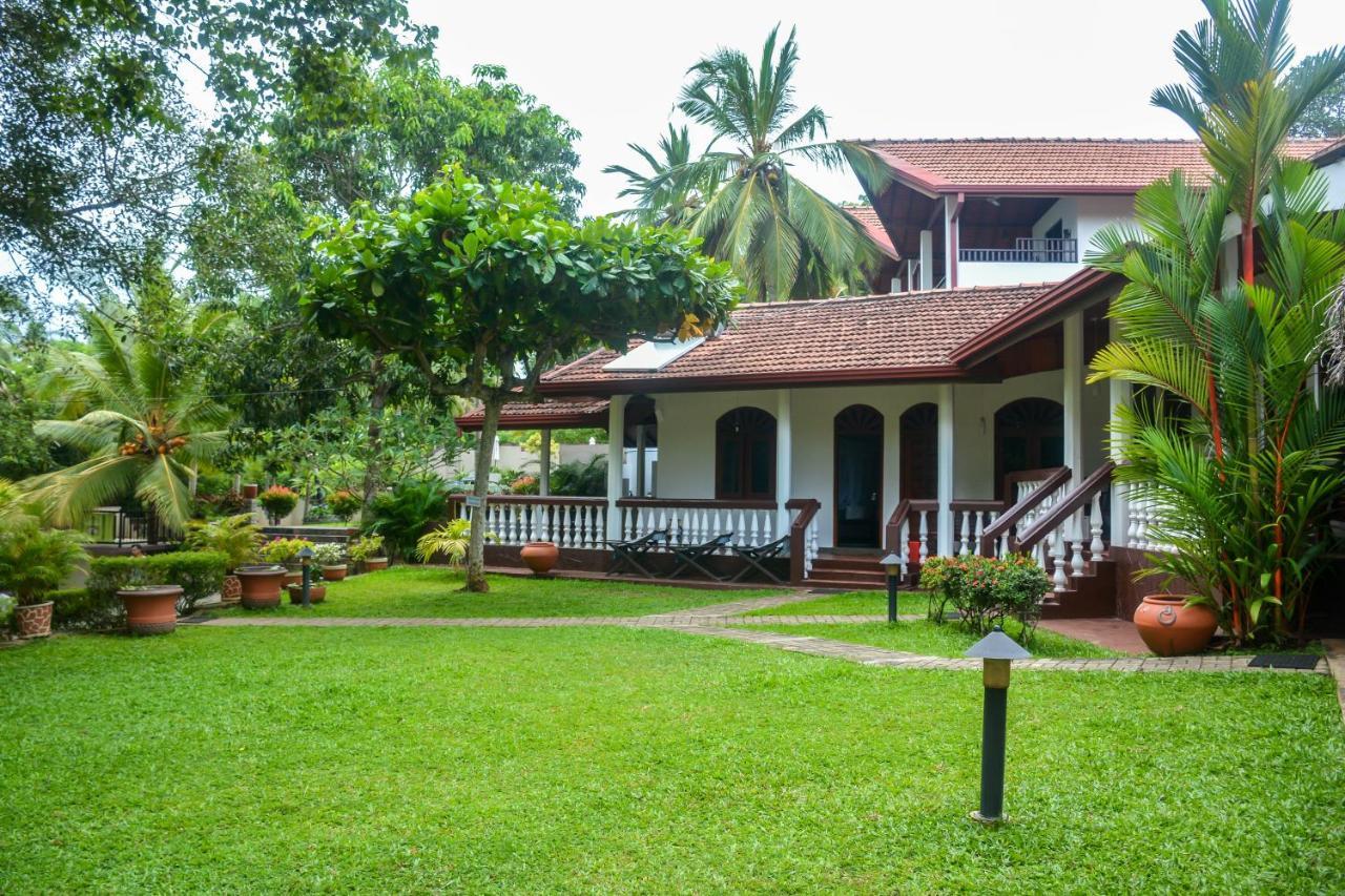 טנגלה Goyambokka Guesthouse מראה חיצוני תמונה